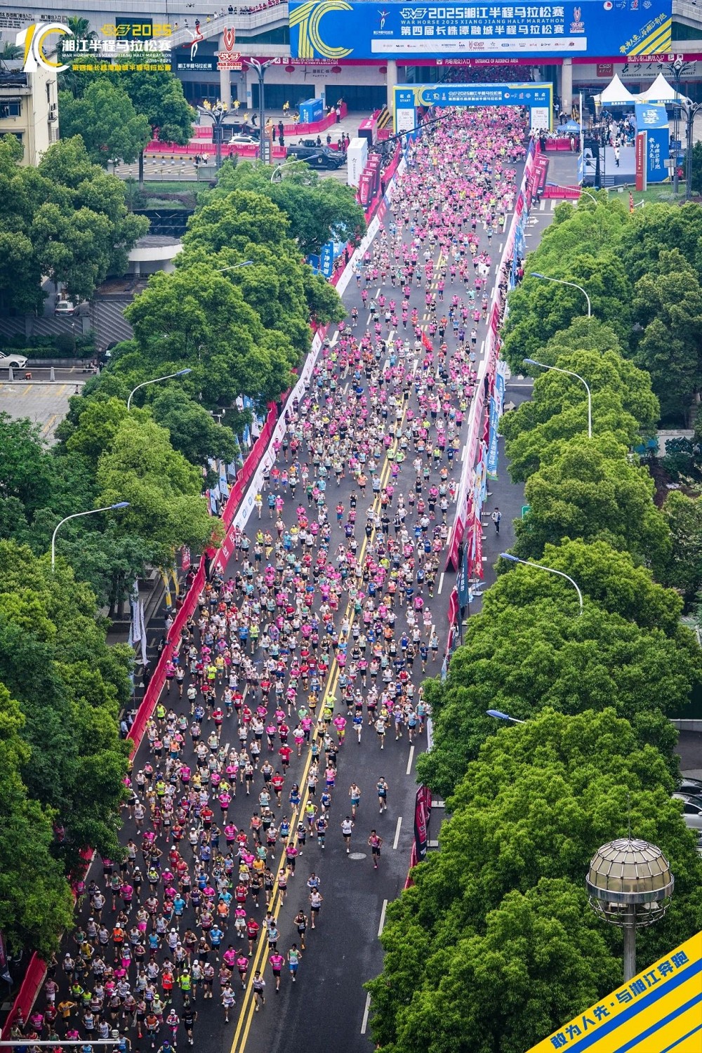 6686 - 幸運賽事盡在6686體育